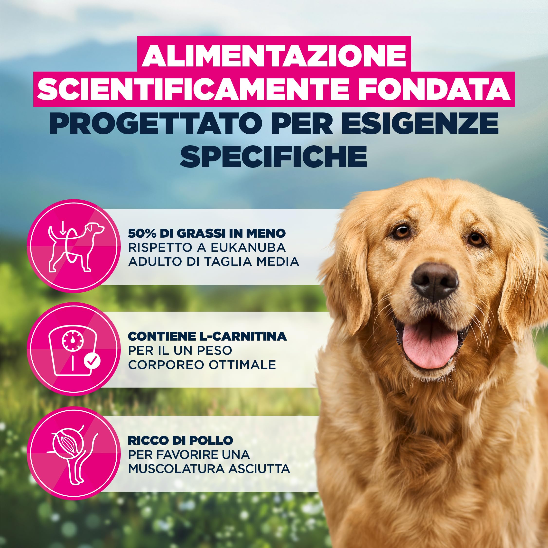 EUKANUBA Overweight Cibo per cani con pollo - Mangime secco Special Care a basso contenuto di grassi per la riduzione del peso, indicato per cani che tendono al sovrappeso, 12 kg