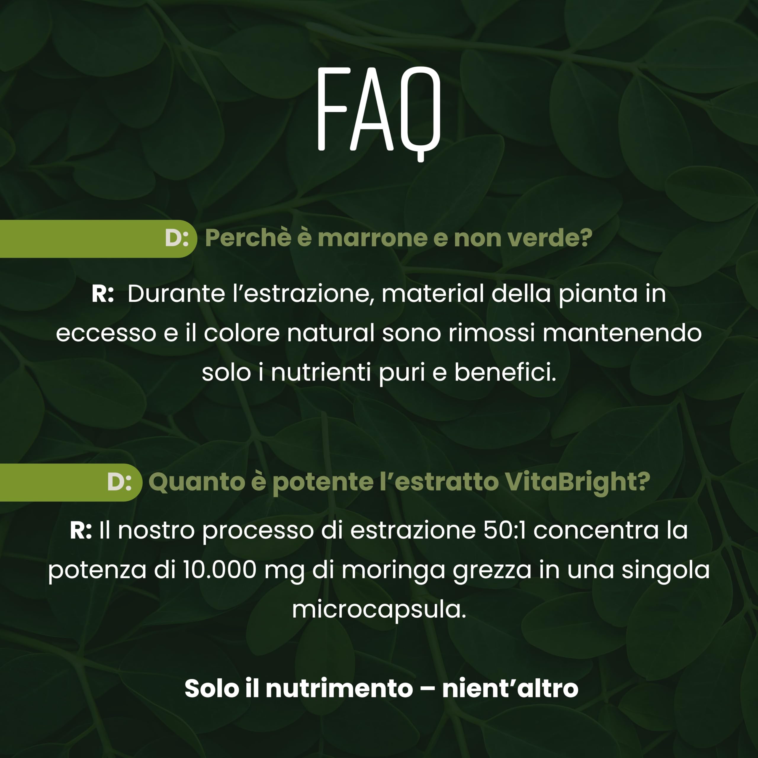 Capsule di Moringa Pura | Alto Dosaggio 10.000 mg | 4 Mesi – 1 al Giorno | Senza Additivi | Capsule di Superalimento Vegano in Polvere | Estratto Puro di Foglia di Moringa | VitaBright