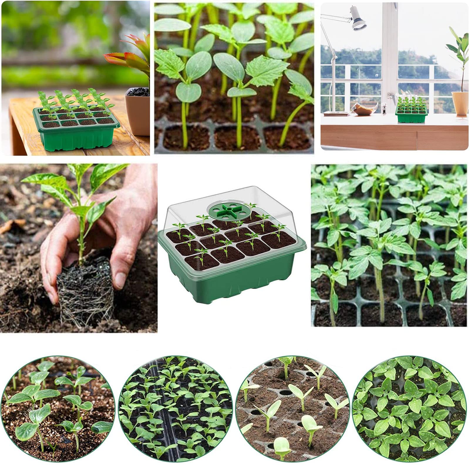 3 Set Bandejas de Semilleros,Bandejas de Germinación para Invernaderos,Mini Invernadero Bandejas de Cultivo Germinación,Ideal para Cultivo de Semillas y Plantas