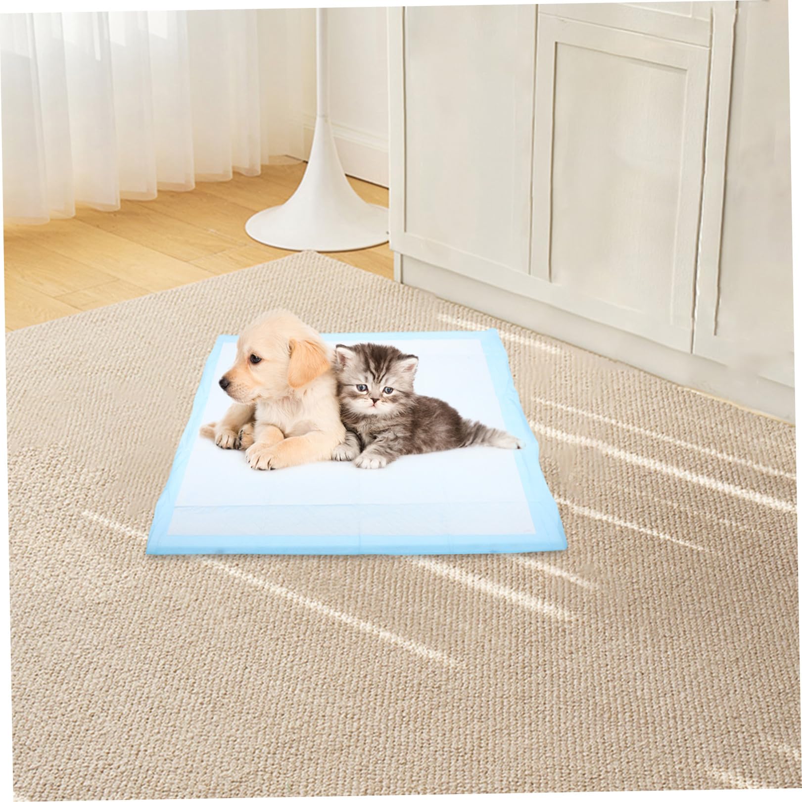 BESTonZON Alèse pour Chiot Ultra Absorbante, Lot 1, Non Tissé, 60x60 Cm | Chiens D’intérieur et Usage Quotidien, Aide à Garder le Sol Propre, Format L