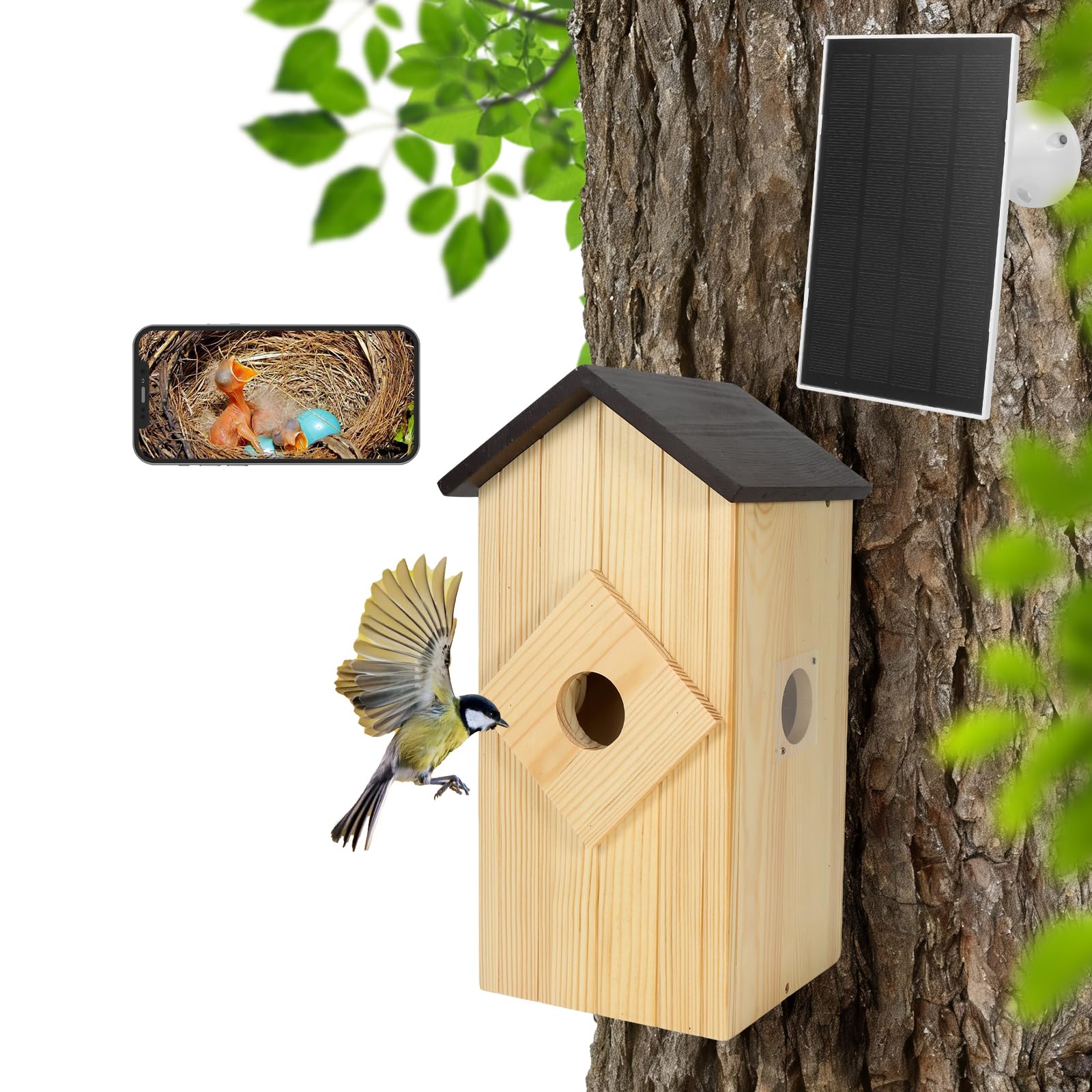 Vogelhaus mit Kamera, solarbetrieben, Vogelhaus-Kamera zum Aufhängen im Freien, Holz: 2,5 K HD, kabellose Vogelhaus-Kamera für den Außenbereich, dekorative Box, Geschenk für Bluebird