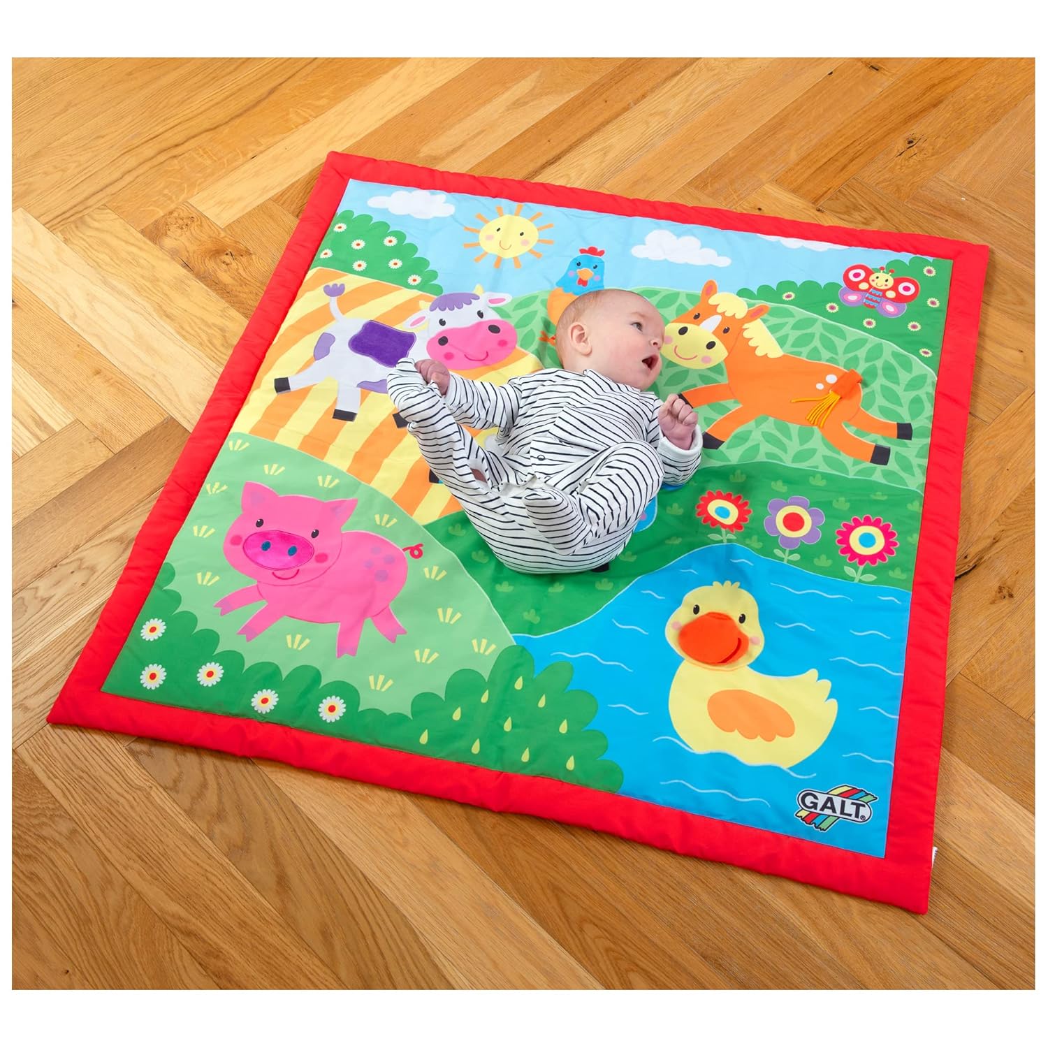 Galt Toys Large Playmat, Farm
