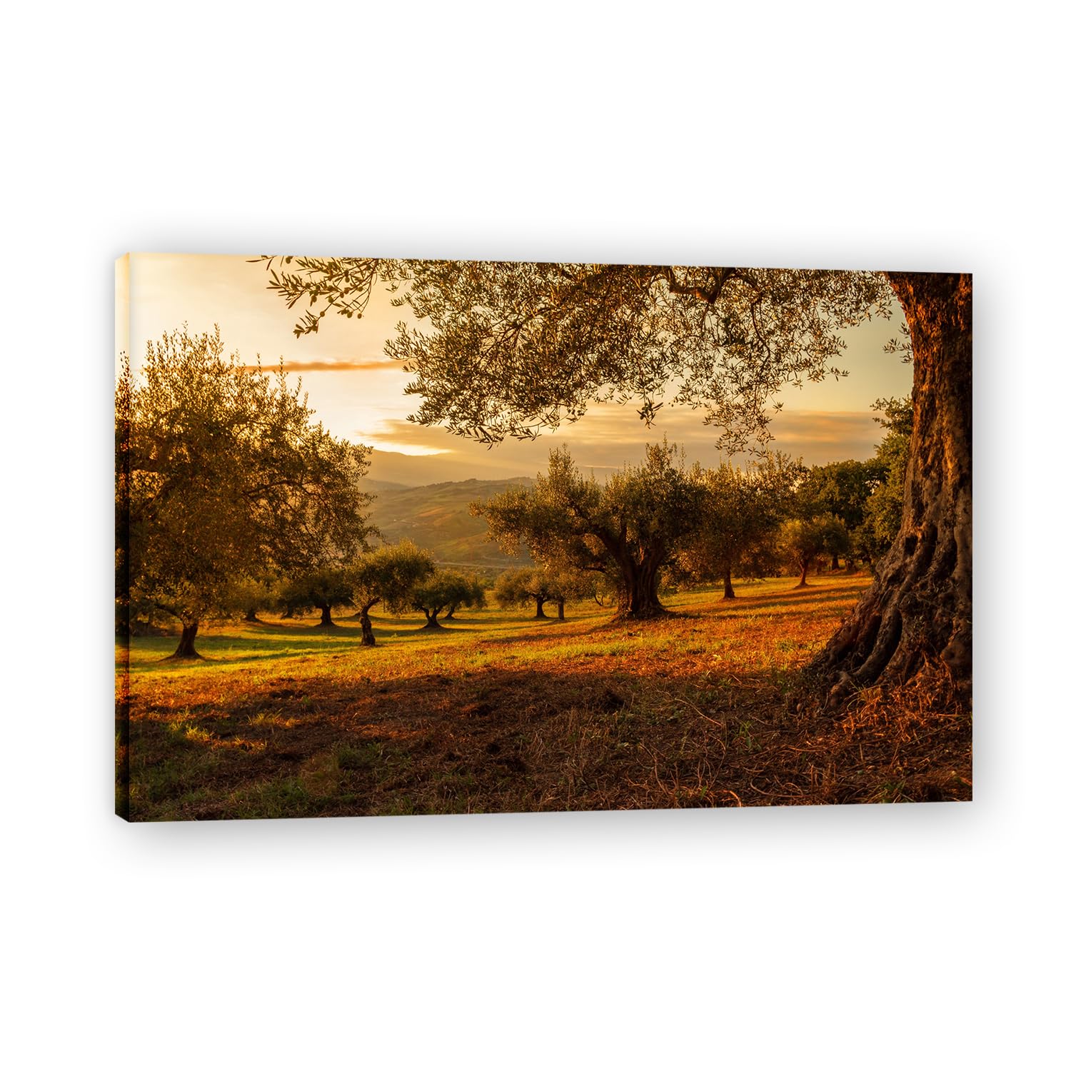 VHdfgTY Growing In Their Own WaysElegant Mountain Landscape Canvas Wall Art Nature Scenery Home Decor 20x30cm Framed
