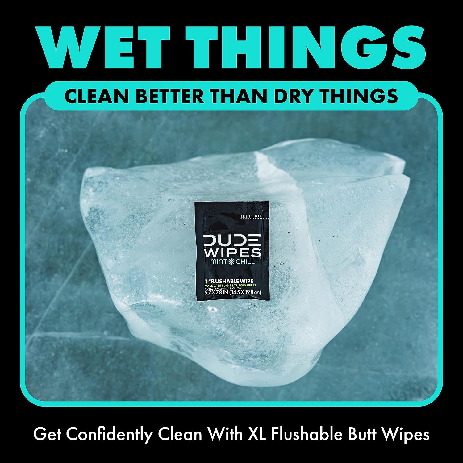 DUDE Wipes On-The-Go Mint Chill Travel Wipes-Extra-Large Adult Flushable Wipes - Infused with Tea Tree Oil, Vitamin E, and Aloe - Septic and Sewer Safe,30 Count (Pack of 4)