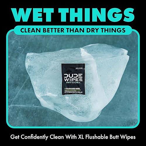 Miniatura 5 de DUDE Wipes On-The-Go Flushable Wipes - 1 Pack, 30 Count - Mint Chill Extra-Large Individually Wrapped - with Eucalyptus & Tea Tree Oil - Septic and