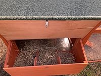 Review Image by Shelley Shelley