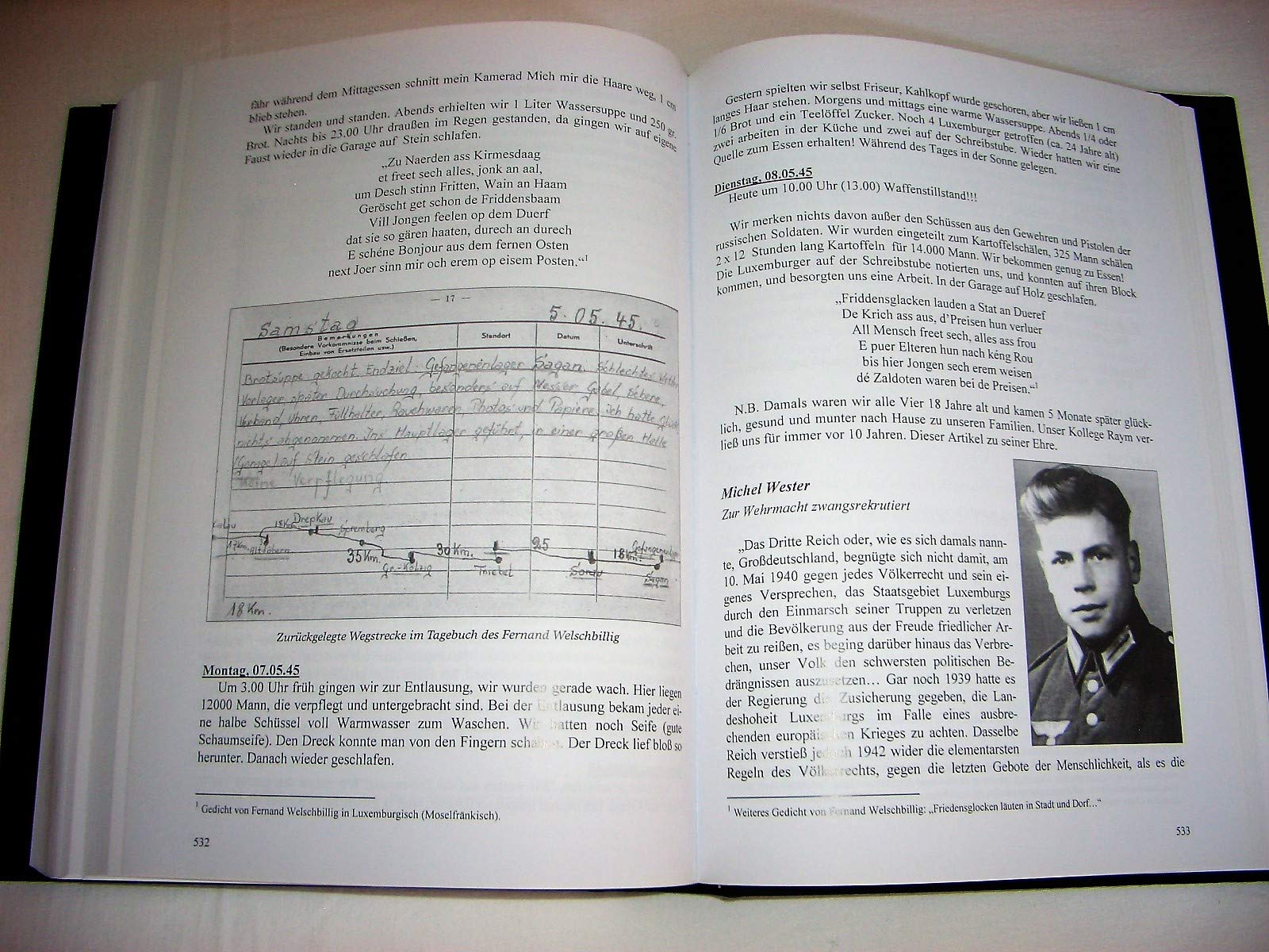 19 Tage Krieg: Die RAD-Infanteriedivision "Friedrich Ludwig Jahn" in der Lücke zwischen 9. und 12. Armee - Die Mark Brandenburg im Frühjahr 1945