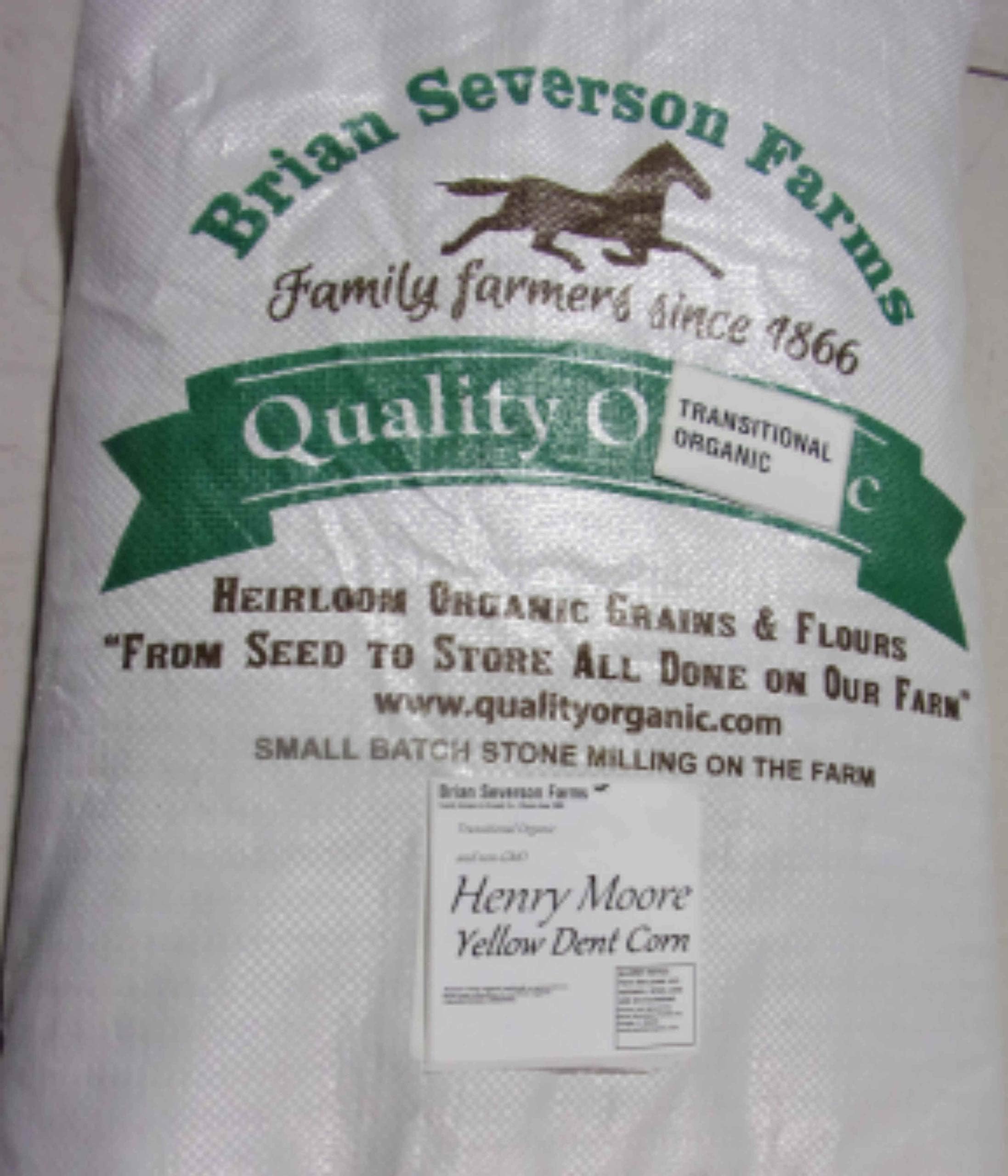 Henry Moore Yellow Corn | Heirloom Open Pollinated Yellow Dent Corn kernels | 15 lbs. | Farmer Direct (non-GMO)