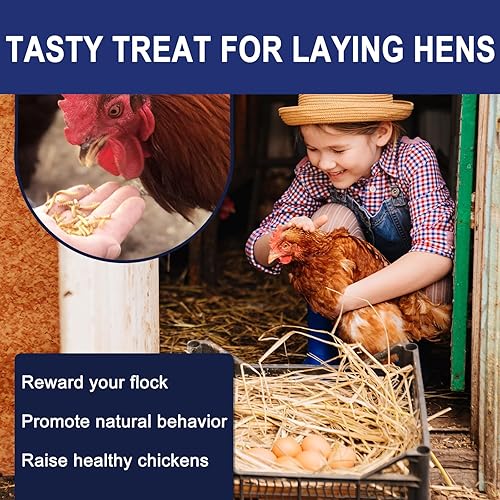 Vista 6 de RANZ Gusanos de harina secos sin OMG de 2 libras para pollos, gusanos de comida con alto contenido de proteínas, alimento premium para pollos