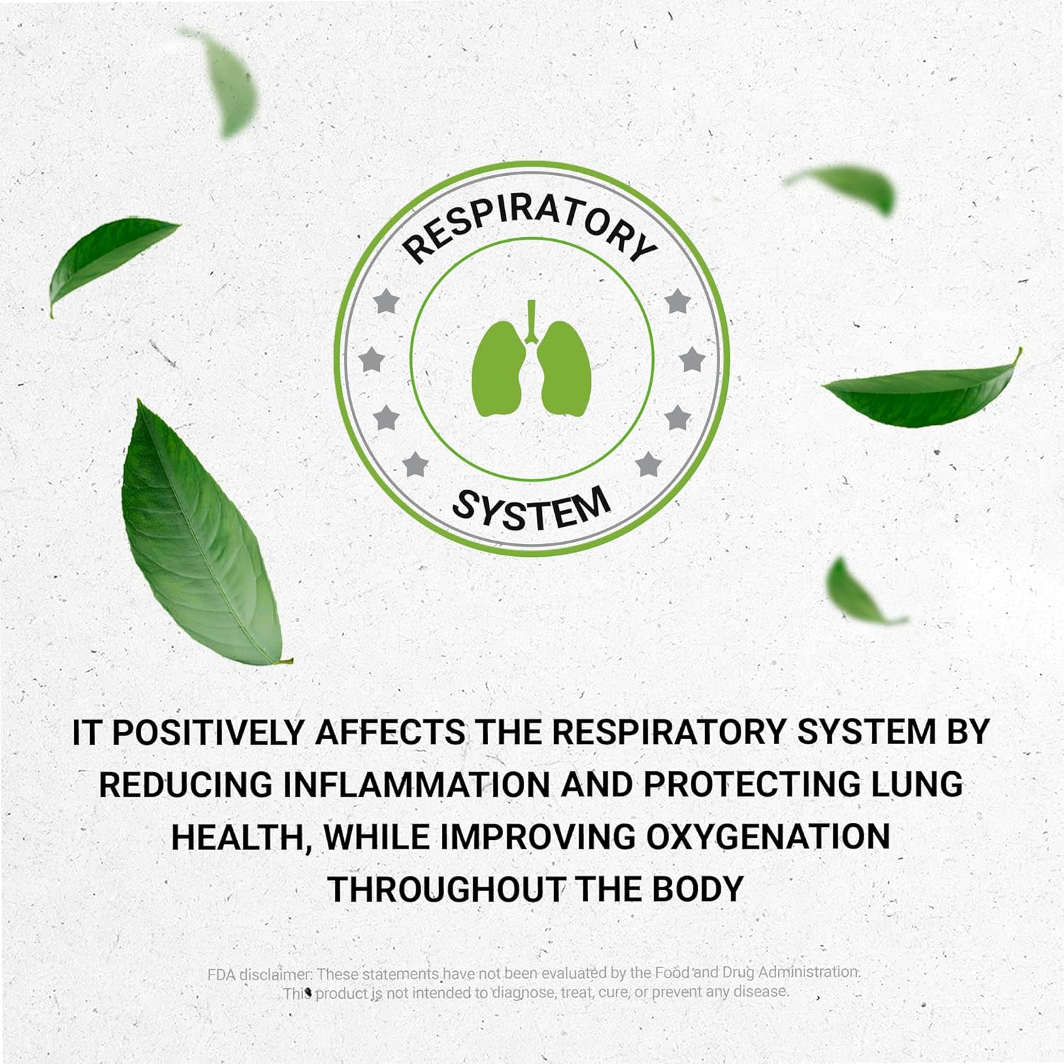 Secrets of the Tribe OSHA Alcohol-Free Liquid Extract, Responsibly farmed OSHA (Ligusticum porteri) Dried Root 4 FL OZ - Image 6