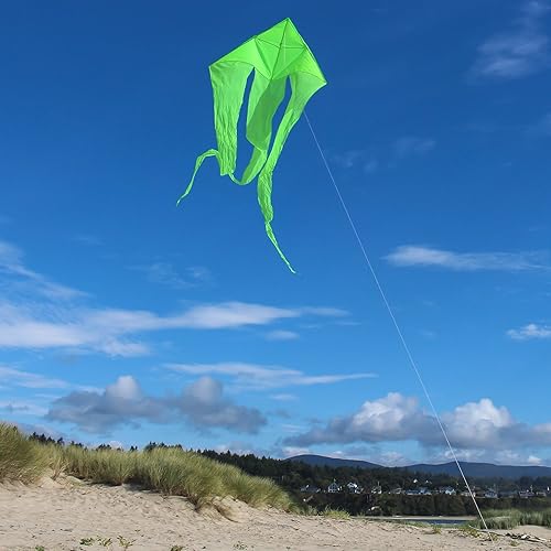 Miniatura 2 de In the Breeze Wave Delta Kite, cometa de una sola línea, tela Ripstop y tafetán, línea y bolsa incluidas