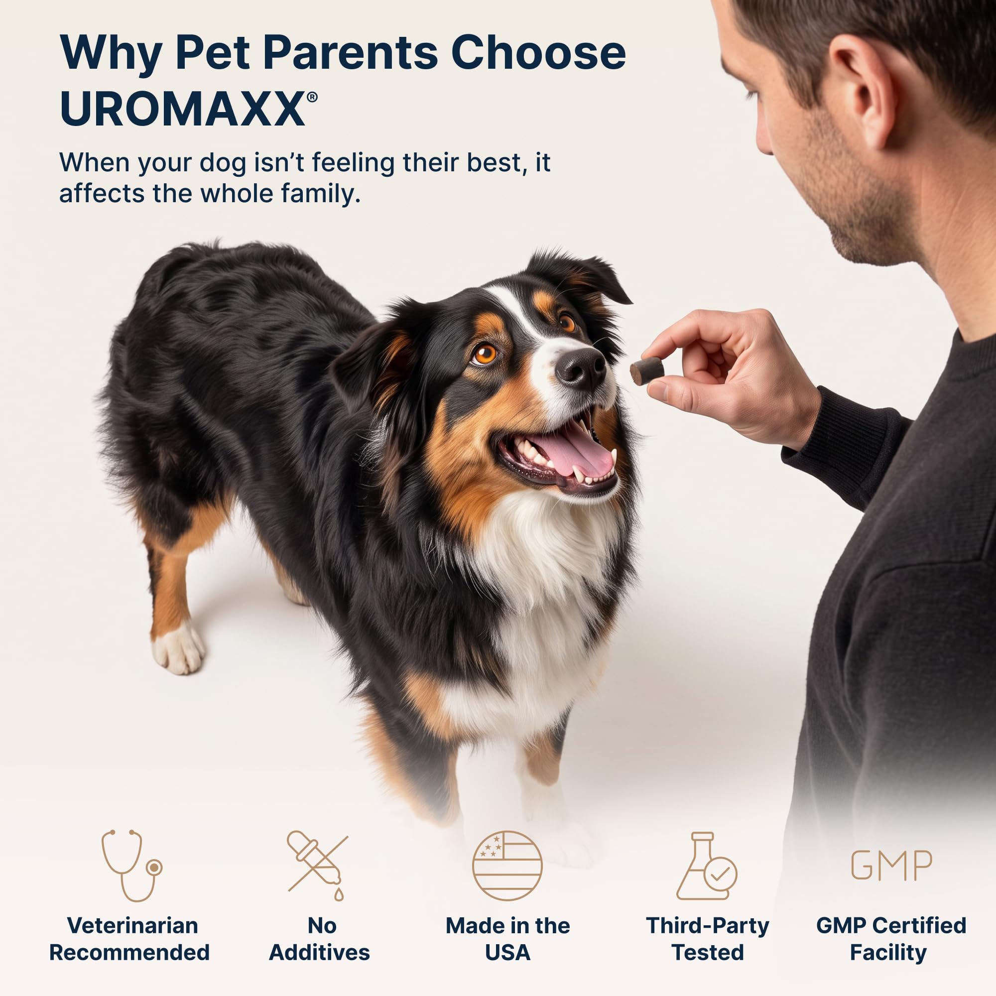 Urinary Tract Support Soft Chews for Dogs, 90 Count — Amazon image 6