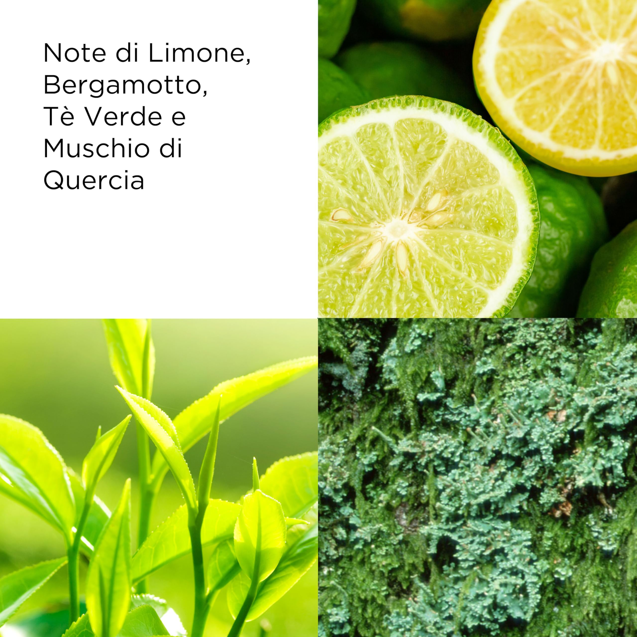 Elizabeth Arden - Green Tea Eau Parfum, Profumo Femminile con Essenze Naturali di Tè Verde e Bergamotto, Rinfrescante, Floreale e Agrumato, Risveglia i Sensi, Energizzante, Profumo per Donne - 100 ml