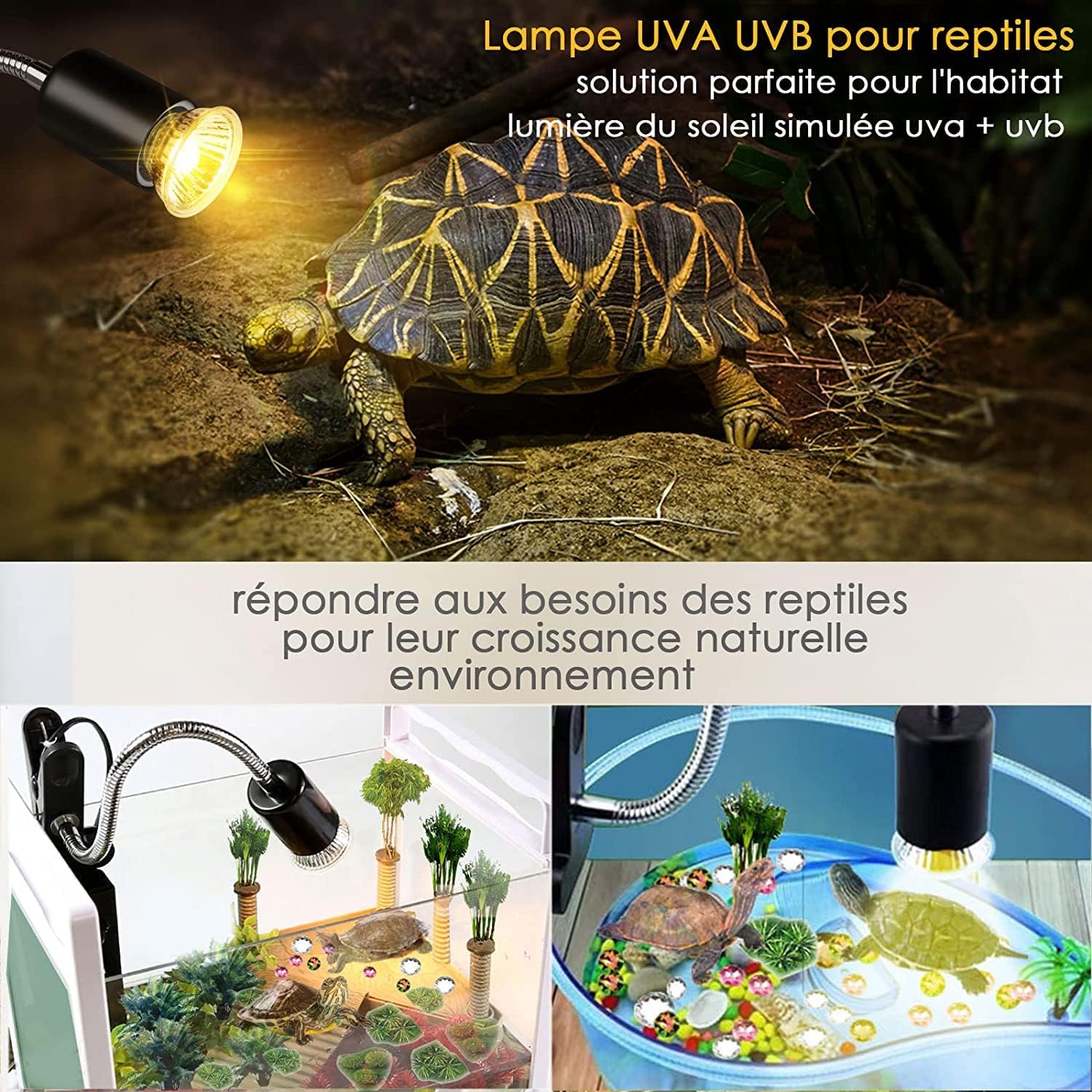 Lampe Uv Et Chauffante Pour Tortue Terrestre