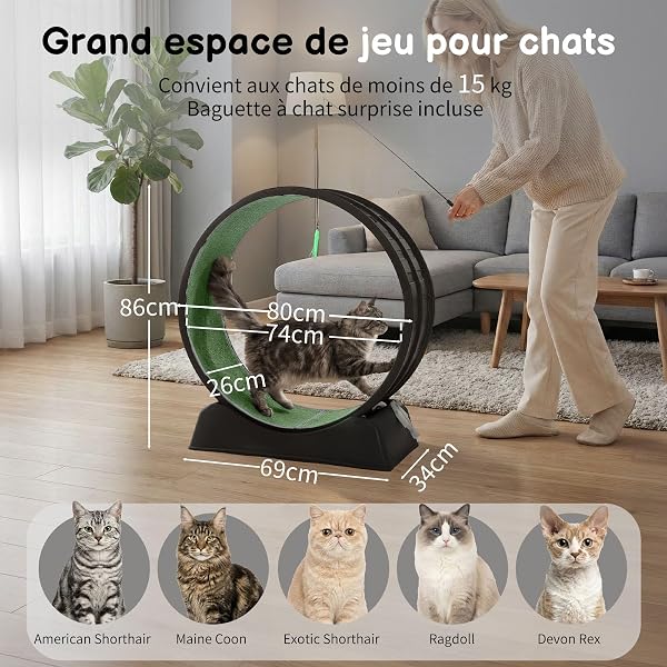LEADZM Roue d'exercice pour Chat 80cm - Roue pour Chat pour 15 kg et Moins Chats - Connecteur de Rail en Plastique, résistant aux Rayures, Stable et Silencieux (Noir) - 2