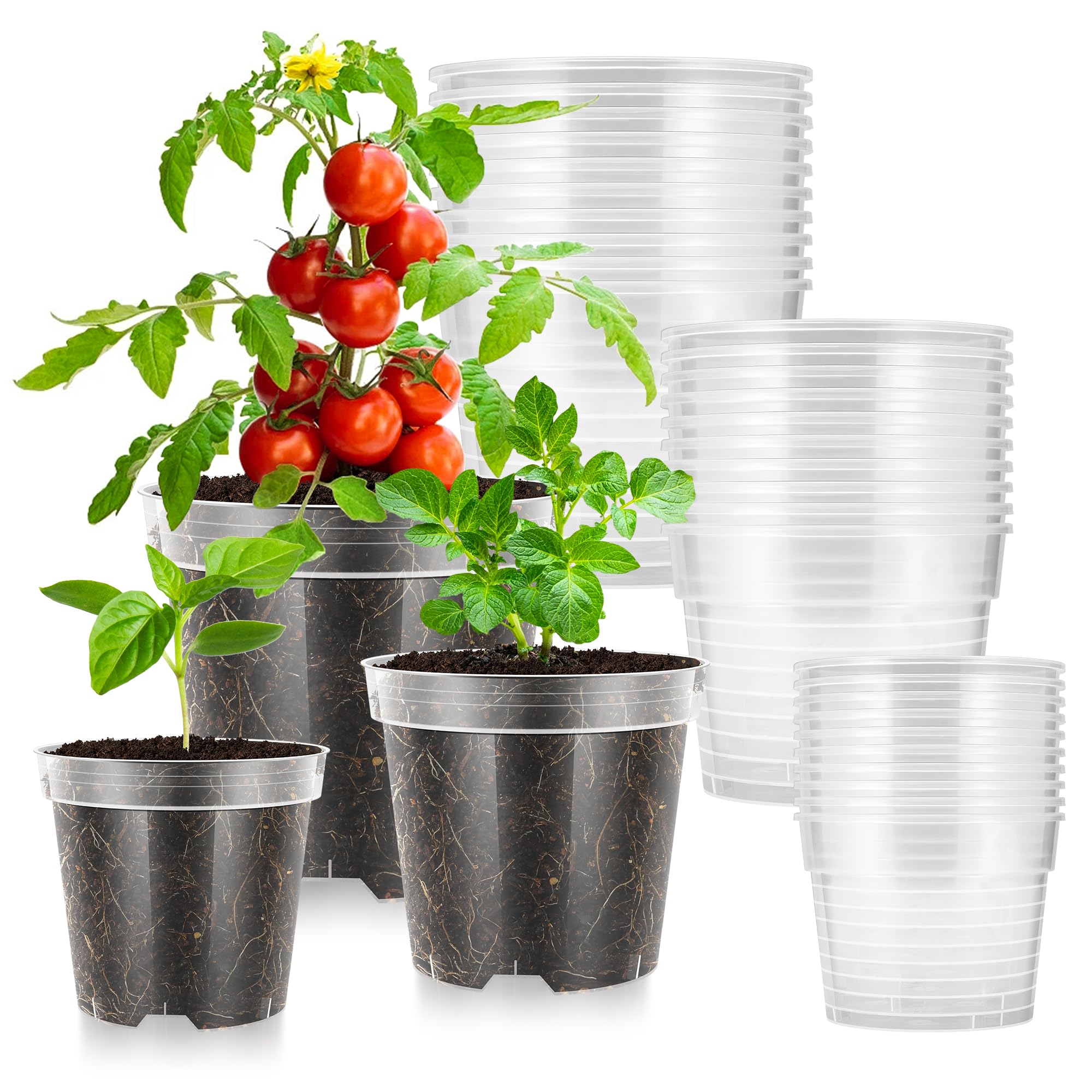 Pots de pépinière transparents VIVOSUN de 10 à 15 cm avec drainage pour semis