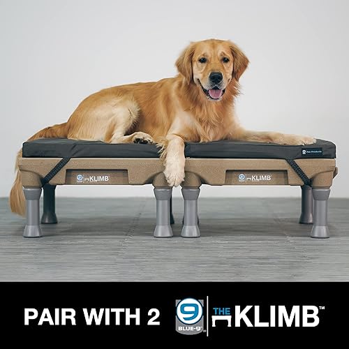 Miniatura 4 de Blue-9 Pet Products Restore+ Cama doble para perro, duradera, resistente al agua y diseño lavable, 24 x 48 pulgadas