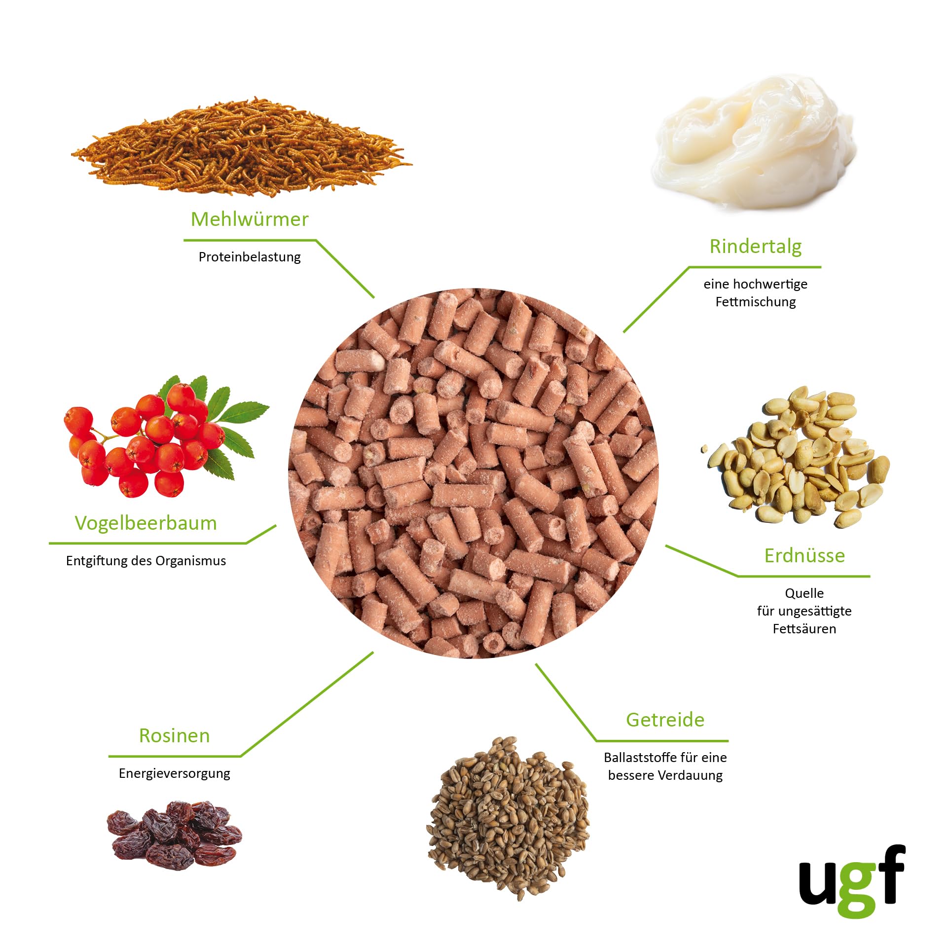 Pellet Di Sugna Con Vermi Farina Per Uccelli - 500g, Con Sorbo E Uvetta, UGF Premium - Foto 7