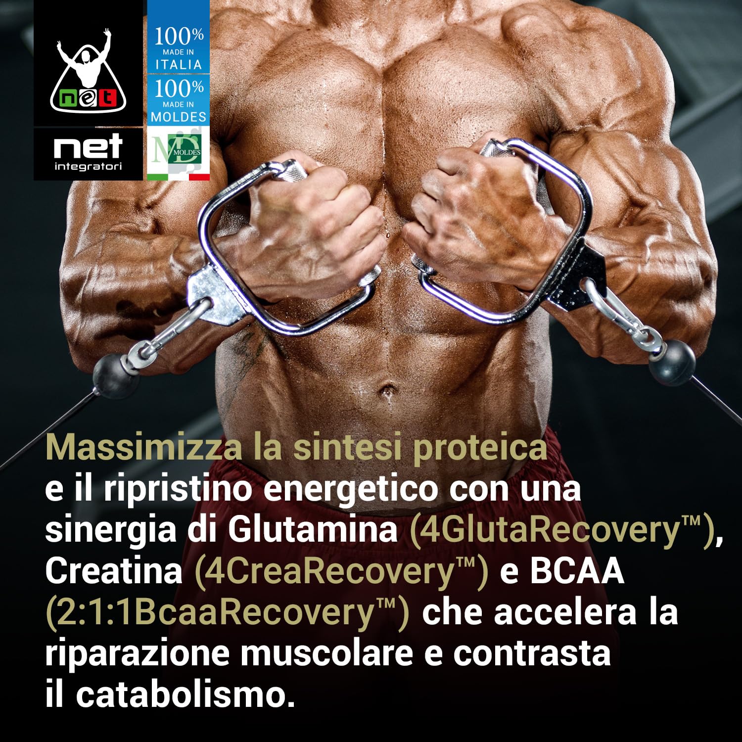 Net Integratori RECOVERY CELL LIPOSOMIALE – 330 g Gusto Arancia – Integratore Post Workout Avanzato per Recupero Muscolare e Sintesi Proteica con Glutamina Creatina BCAA in forma Liposomiale