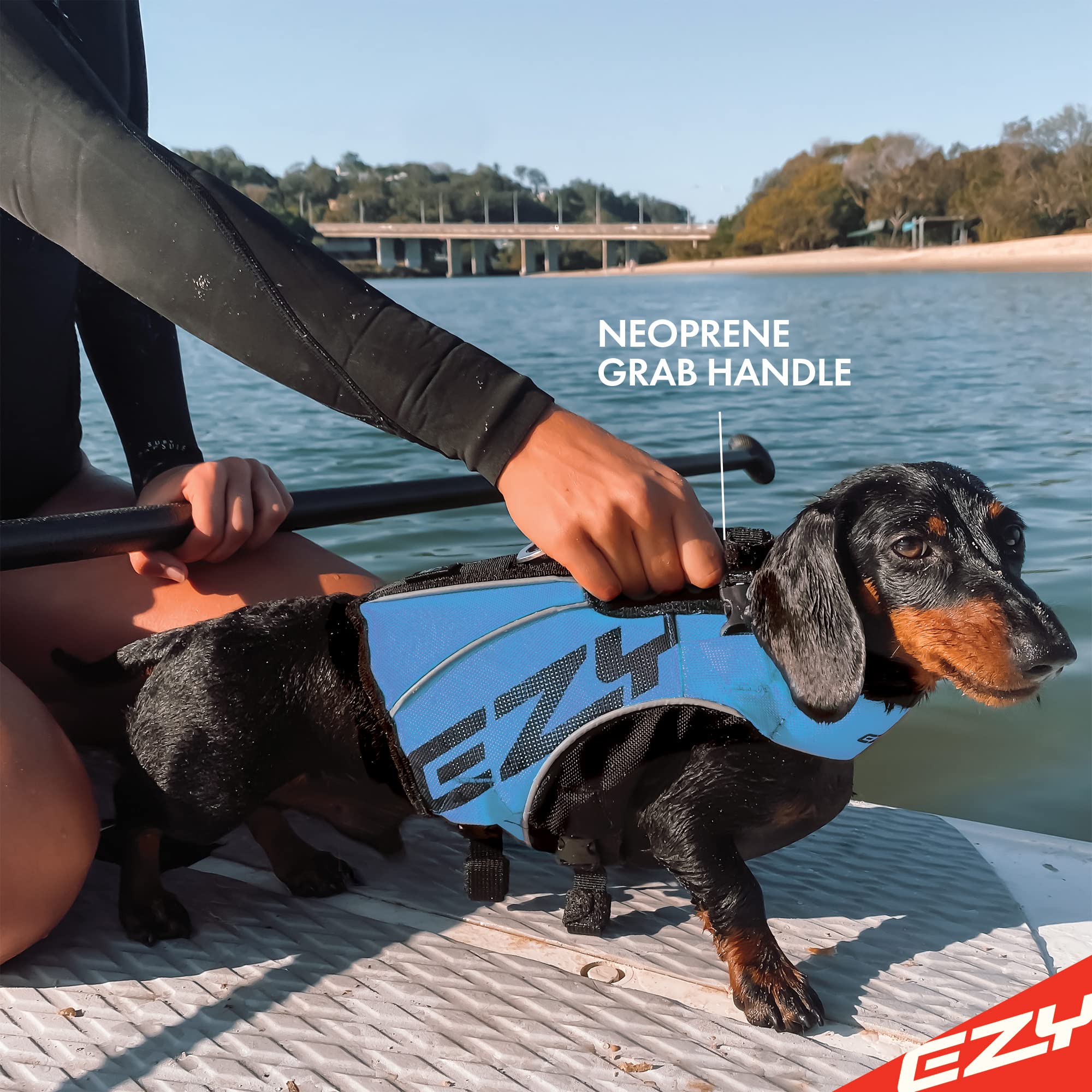 Ezydog Best Large Dog Life Jacket Dog Life Jacket Best DFD Dog