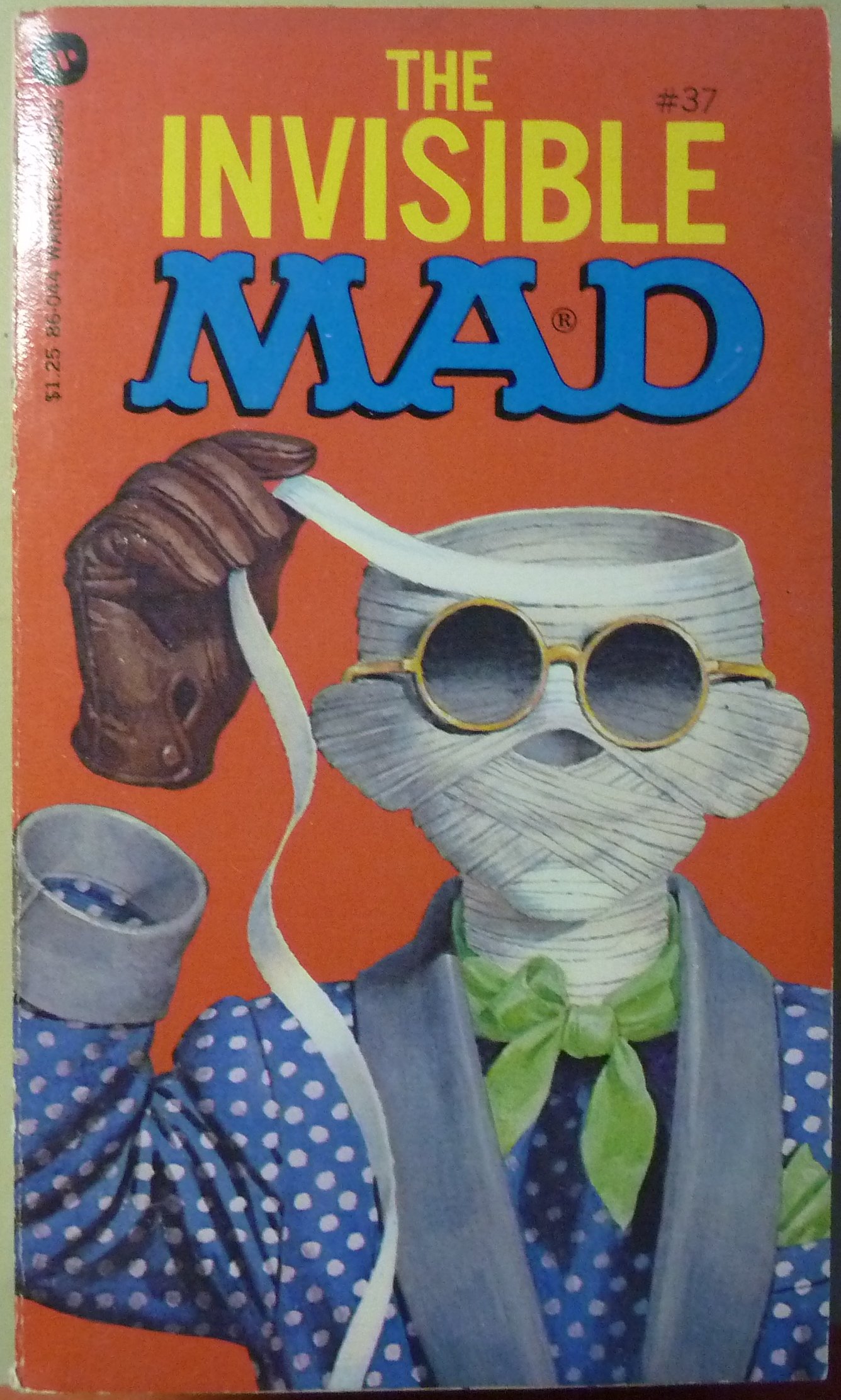 Buy Invisible Mad — BookShops.in