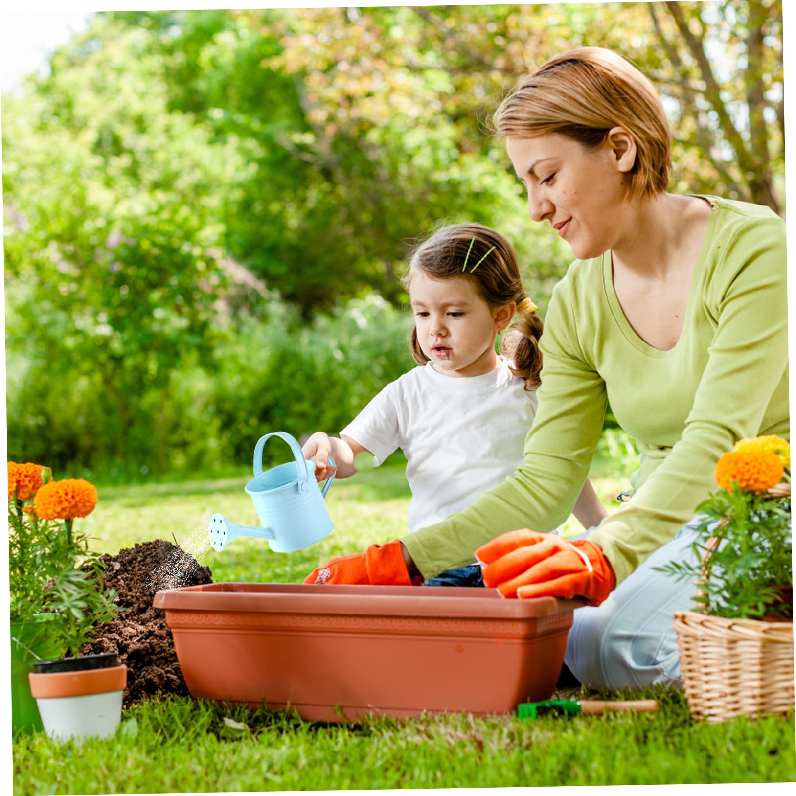Arrosoir De Jardin En Métal1L, Petit Arrosoir Pour Plantes D'intérieur