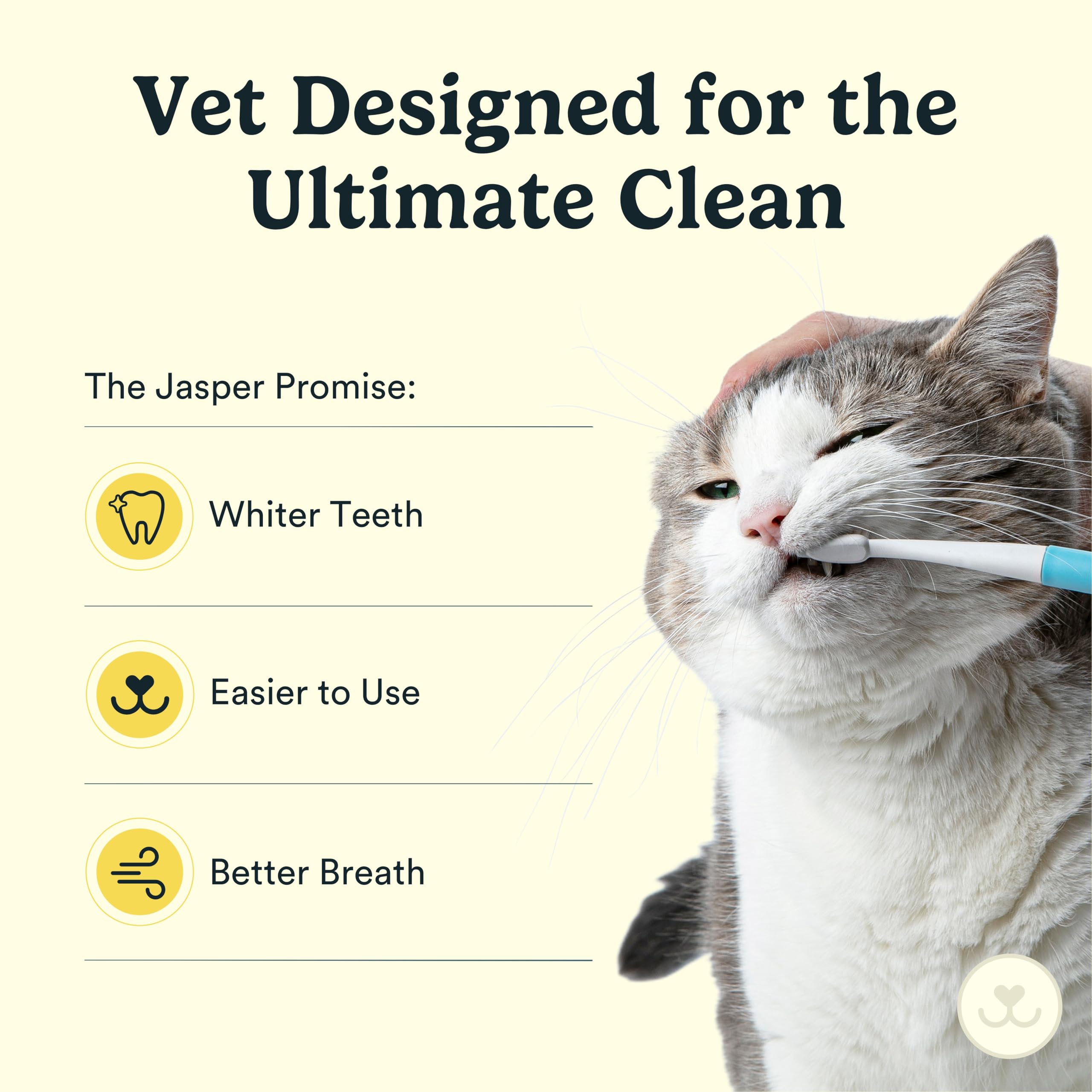 Jasper Microbrush Tierarztzugelassene Katzen-Zahnbürste, weiches Zahnbürsten-Set für Katzen und kleine Hunde, rutschfester Griff, Zahnbürstenköpfe, Verwendung mit Katzenzahnpasta, 4er-Pack, Blau