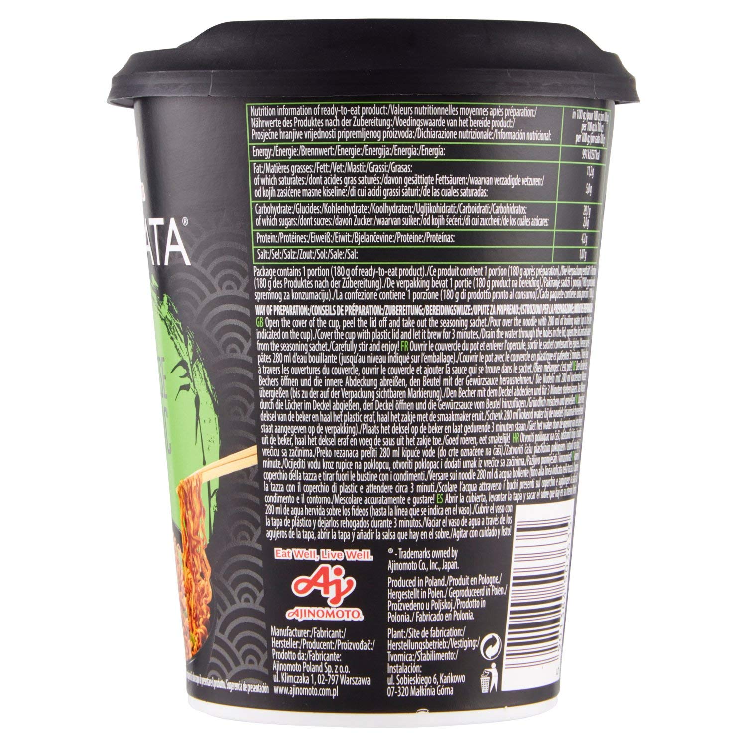 Genuss aus Japan: OYAKATA Vegane Instant Nudeln im Test!