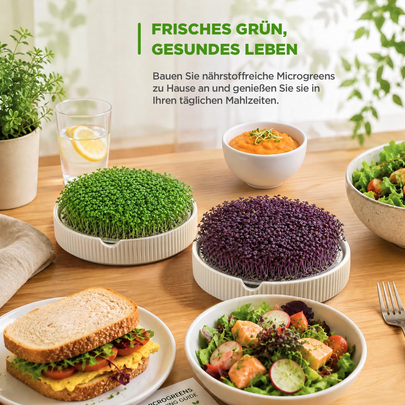 ecooe Kresse Anzuchtschalen 2er Set –Ø 15 cm Kressesieb mit Edelstahlsieb, Keimschale mit Pflanzanleitung, Microgreens Anzuchtschalen, keimglas für Sprossen, Weiß Premium Keramik sprossenglas