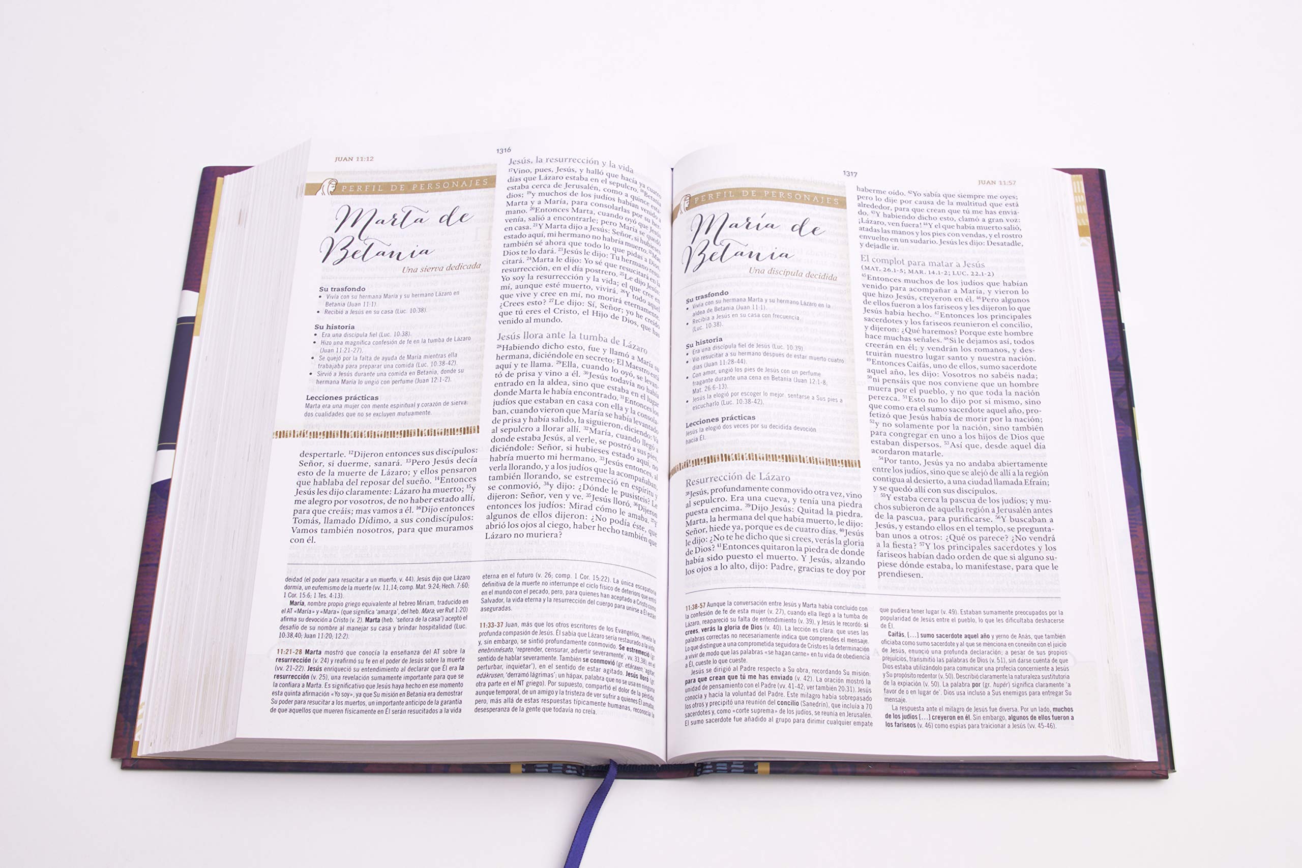 Biblia Reina Valera 1960 de Estudio para Mujeres, Tapa dura | RVR 1960 Women's Study Bible, Hardcover (Spanish Edition) — Amazon image 3