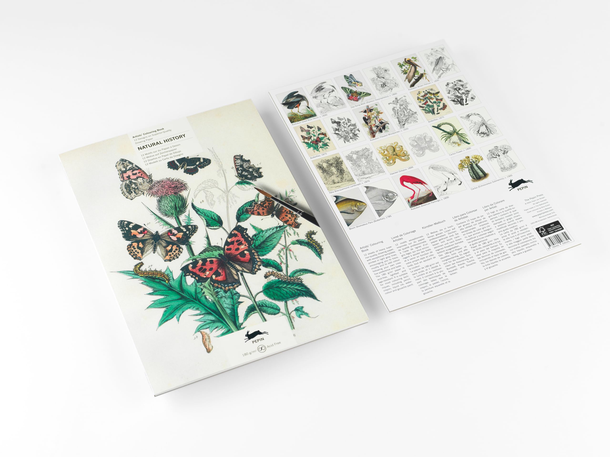 Natural History: Artists' Colouring Book