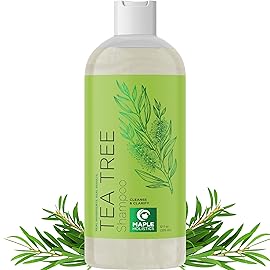 Clarifying Shampoo for Build Up & Oily Hair - Tea Tree Shampoo for Men and Women with Rosemary Essential Oil for Oily Hair and Scalp - Color Safe Vegan Sulfate Silicone & Paraben Free (12 Fl Oz)