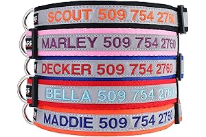 Premium Embroidered Dog Collar with Personalized Name