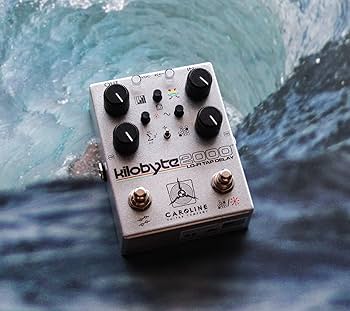 Amazon.com: Caroline Guitar Company Kilobyte 2000 Lo-Fi Delay