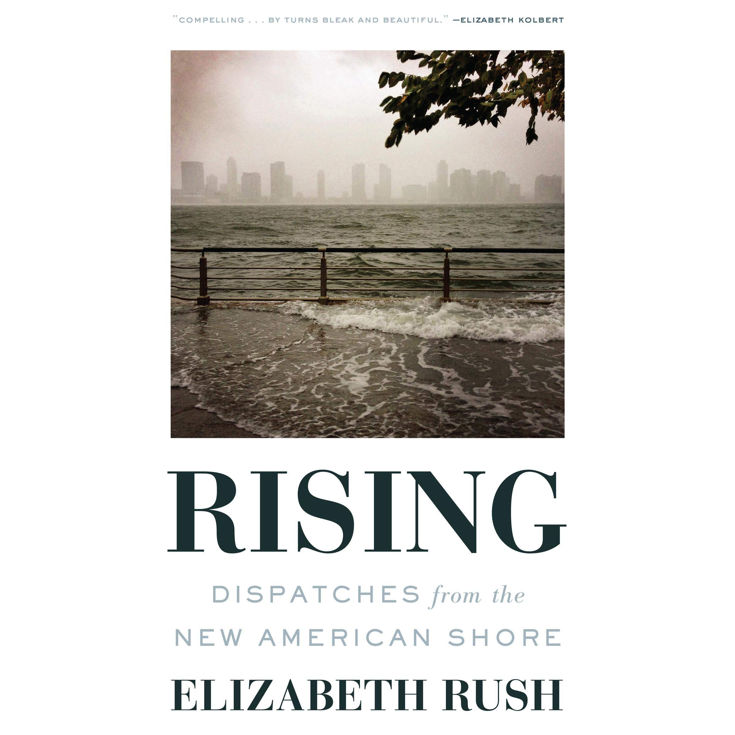 Cover art for Rising