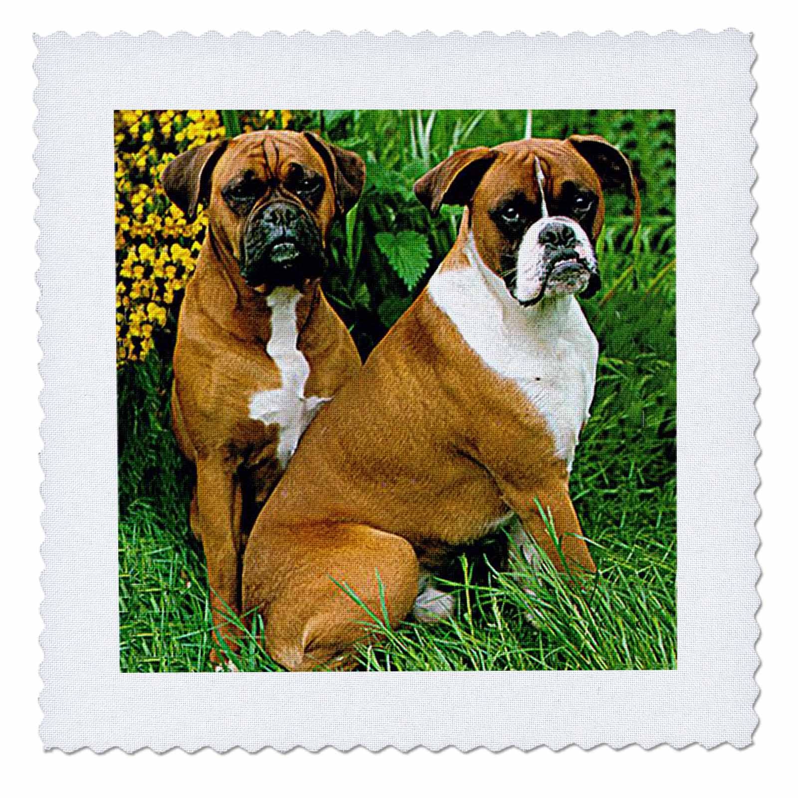 25x25 inch Quilt Square - Boxer Dogs Boxer