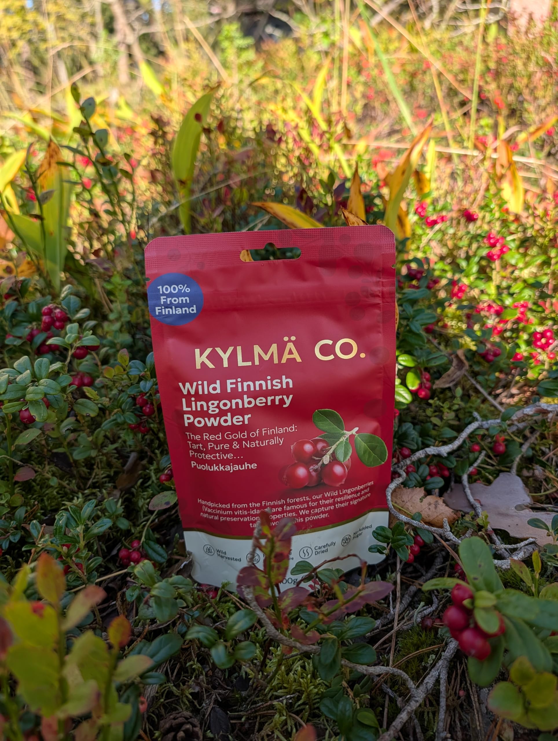 Kylmä Co. Proszek Z Dzikiej Borówki Brusznicy 3 x 100 G Zestaw Oszczędny | 100% Dzika Brusznica (Vaccinium vitis-idaea) Z Finlandii | Suszony Powietrzem | 1 Składnik | Wegański | Bezglutenowy