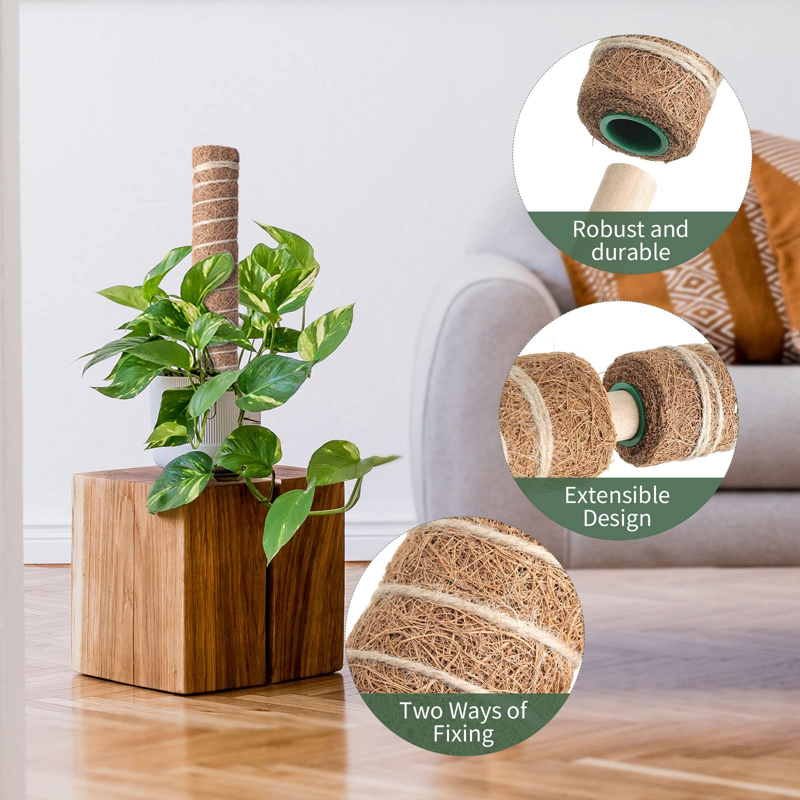 16 Set Moosstange für Pflanzen Monstera 16,5 Zoll Biegbare Pflanzstäbe Unterstützung mit Hanfseilen Pflanzenetiketten Bänder Bindebänder Fischknochen Verriegelungsgurte Grüne Twist Ties für
