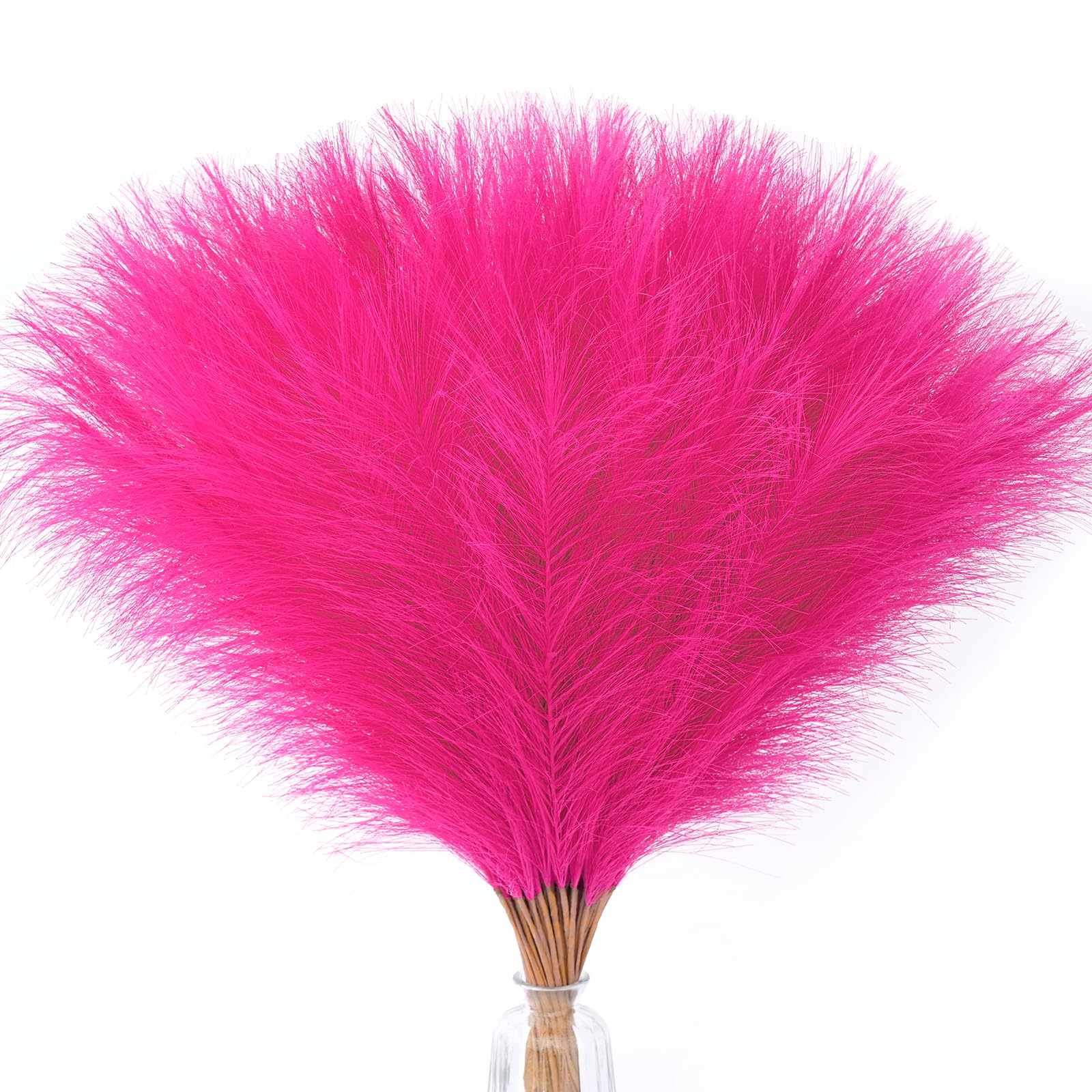 Serwalin 60 Pcs Hot Pink Pampas Grass