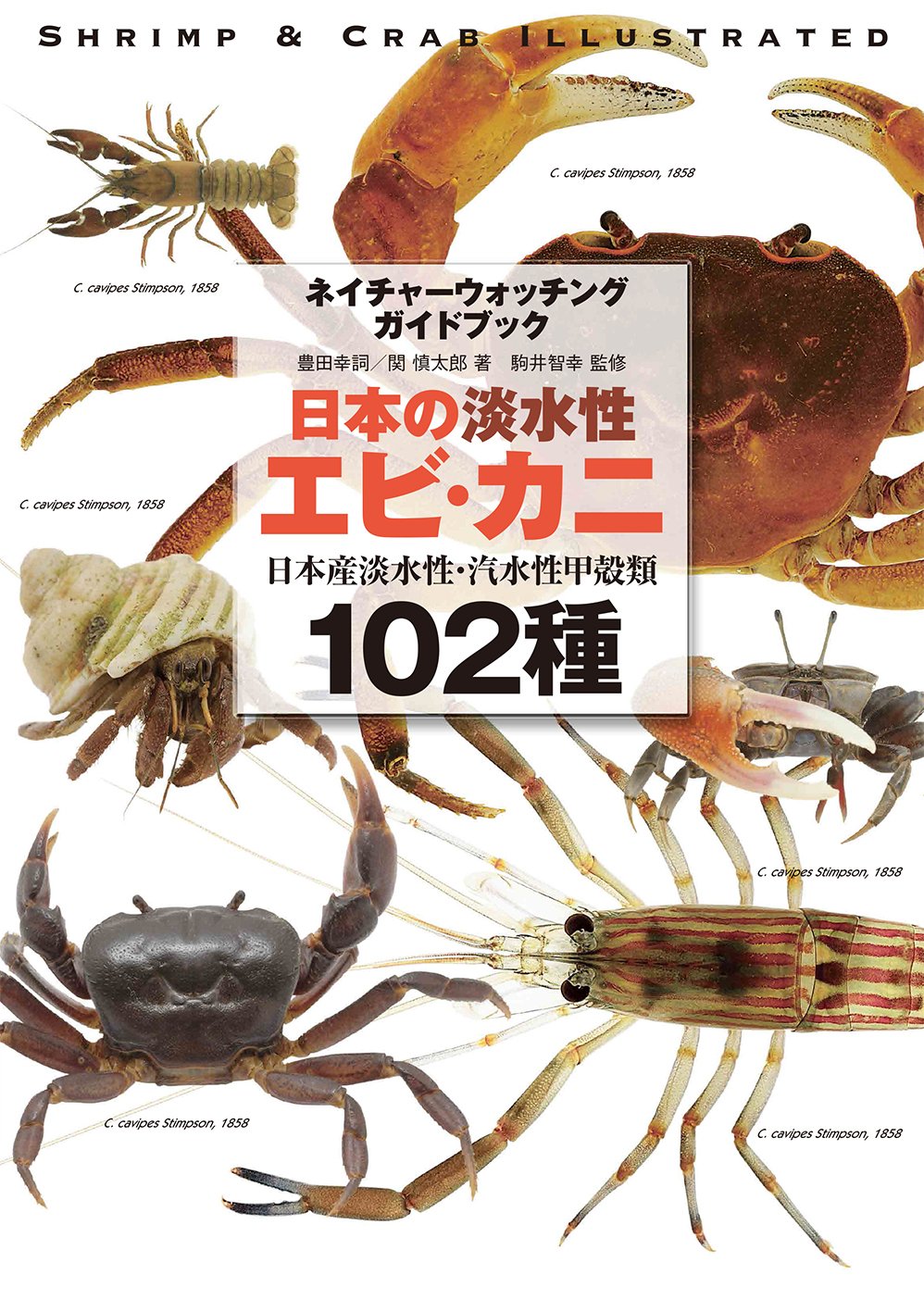 日本の淡水性エビ カニ 日本産淡水性 汽水性甲殻類102種 ネイチャーウォッチングガイドブック 豊田 幸詞 関 慎太郎 駒井 智幸 本 通販 Amazon 日本の淡水性エビ カニ 日本産淡水性 汽水性甲殻類102種 ネイチャーウォッチングガイドブック 豊田 幸詞 関 慎太郎 駒井 智幸 本 通販 Amazon