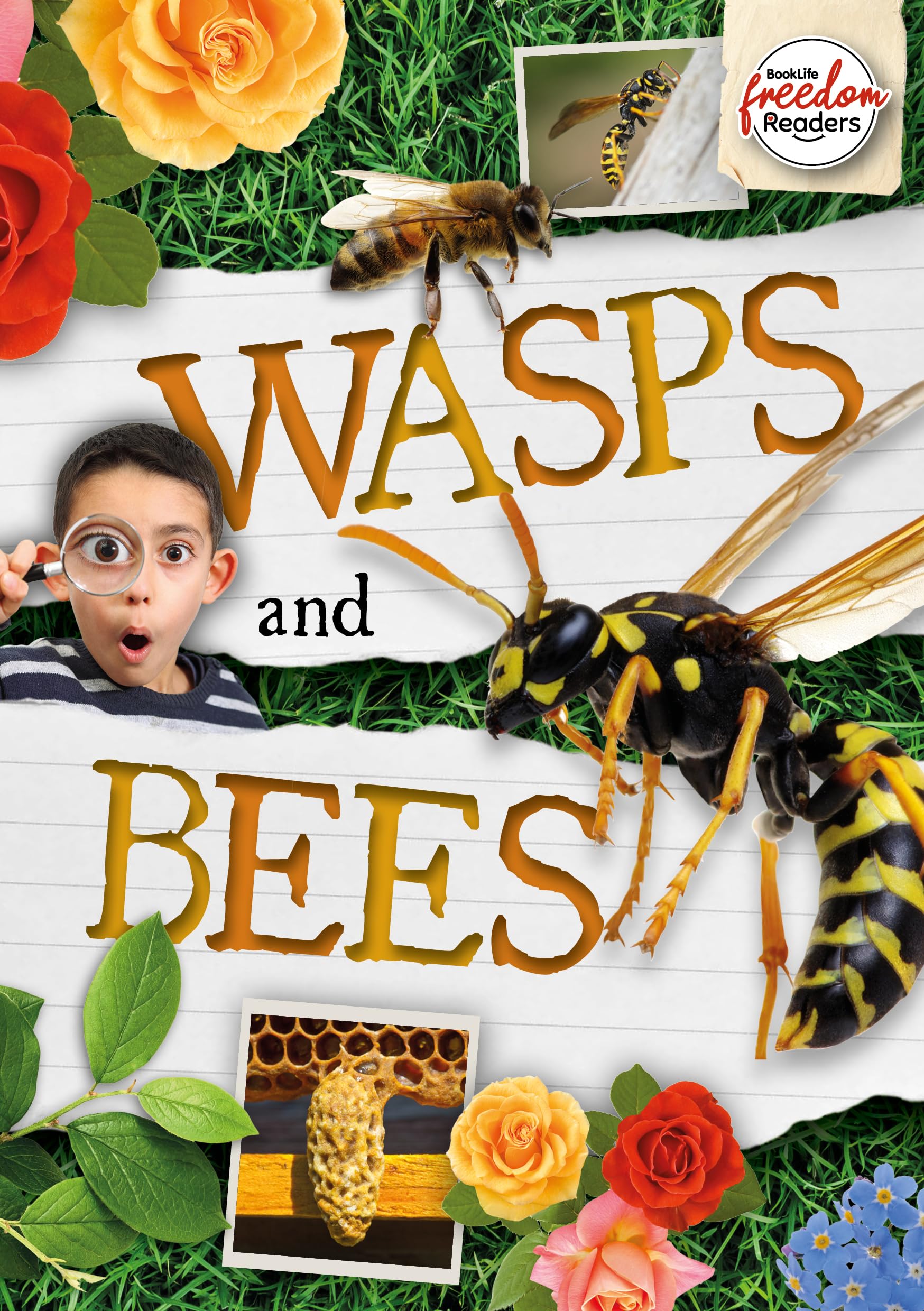 Wasps and Bees (BookLife Freedom Readers)