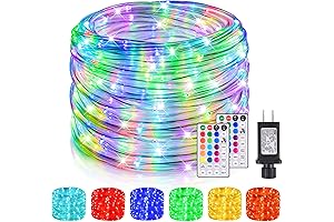 99Ft LED Rope Lights with Remote: Multicolor Fairy LED Lights for Indoor...