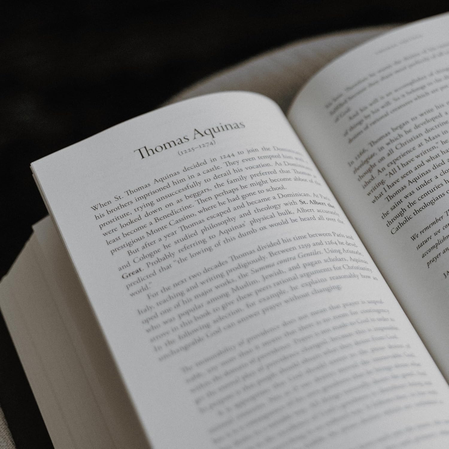 Voices of the Saints: A 365-Day Journey - Image 5