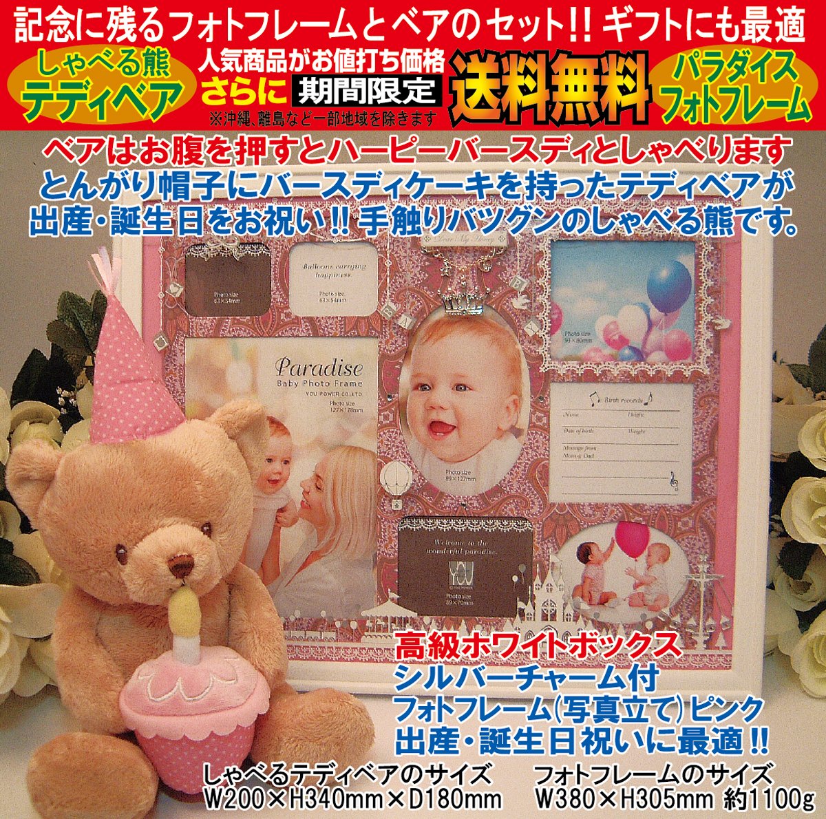 Teddy Bear　テディベア写真集フォトブック　　セット Teddy Bear テディベア写真集フォトブック セット