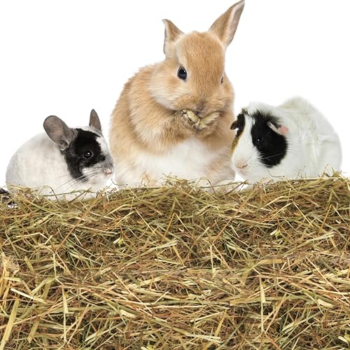 Nobleza - (2 * 2.5kg Heno para Conejos, Comida Premium para Conejos Adultos, Alimento con Fibra Desgaste…