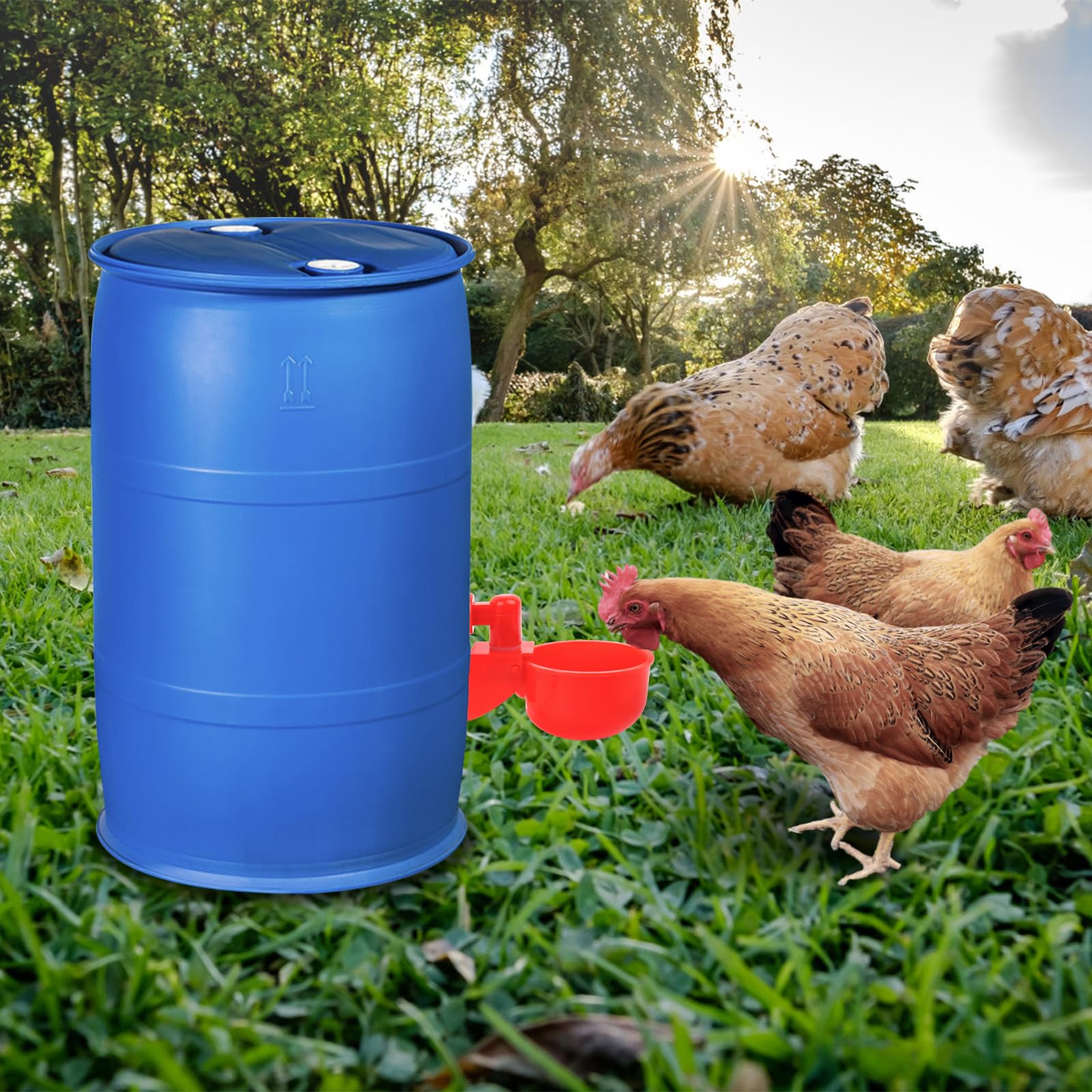 6 PCS Bebedero Gallinas con Taladro, DIY Agua para Pollos Automática Kit para Aves Palomas Pollos Patos Hens, Suministros Comedero de Pollo