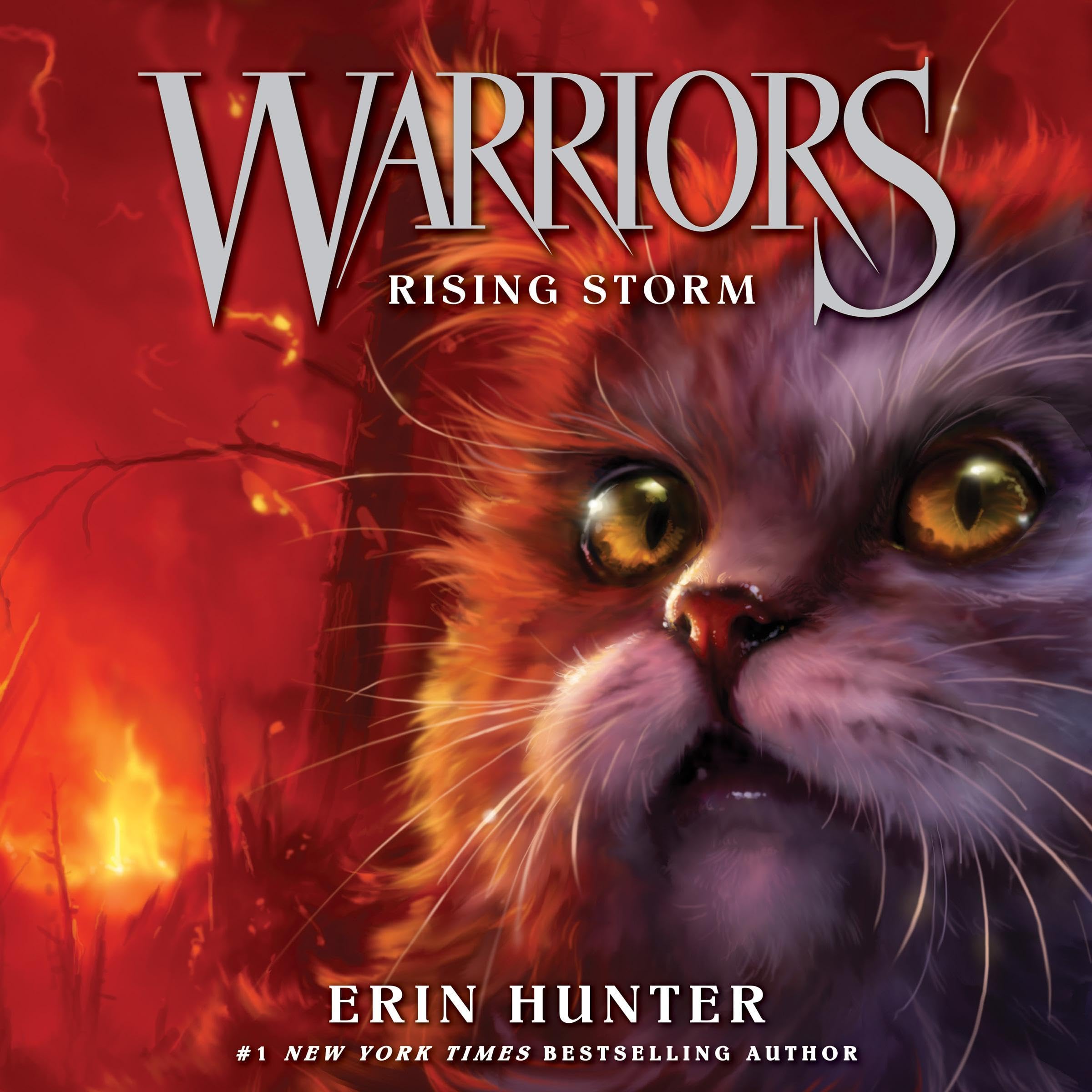 Cover art for Warriors #4: Rising Storm