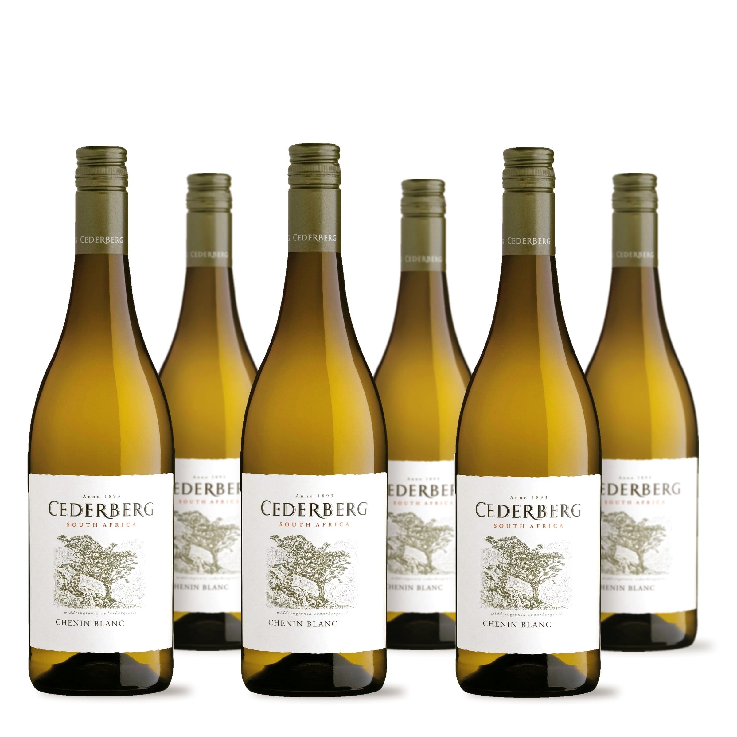 2024/2025 Cederberg Chenin Blanc WO (6 x 0,75 l) inkl. weine.de-DropStop