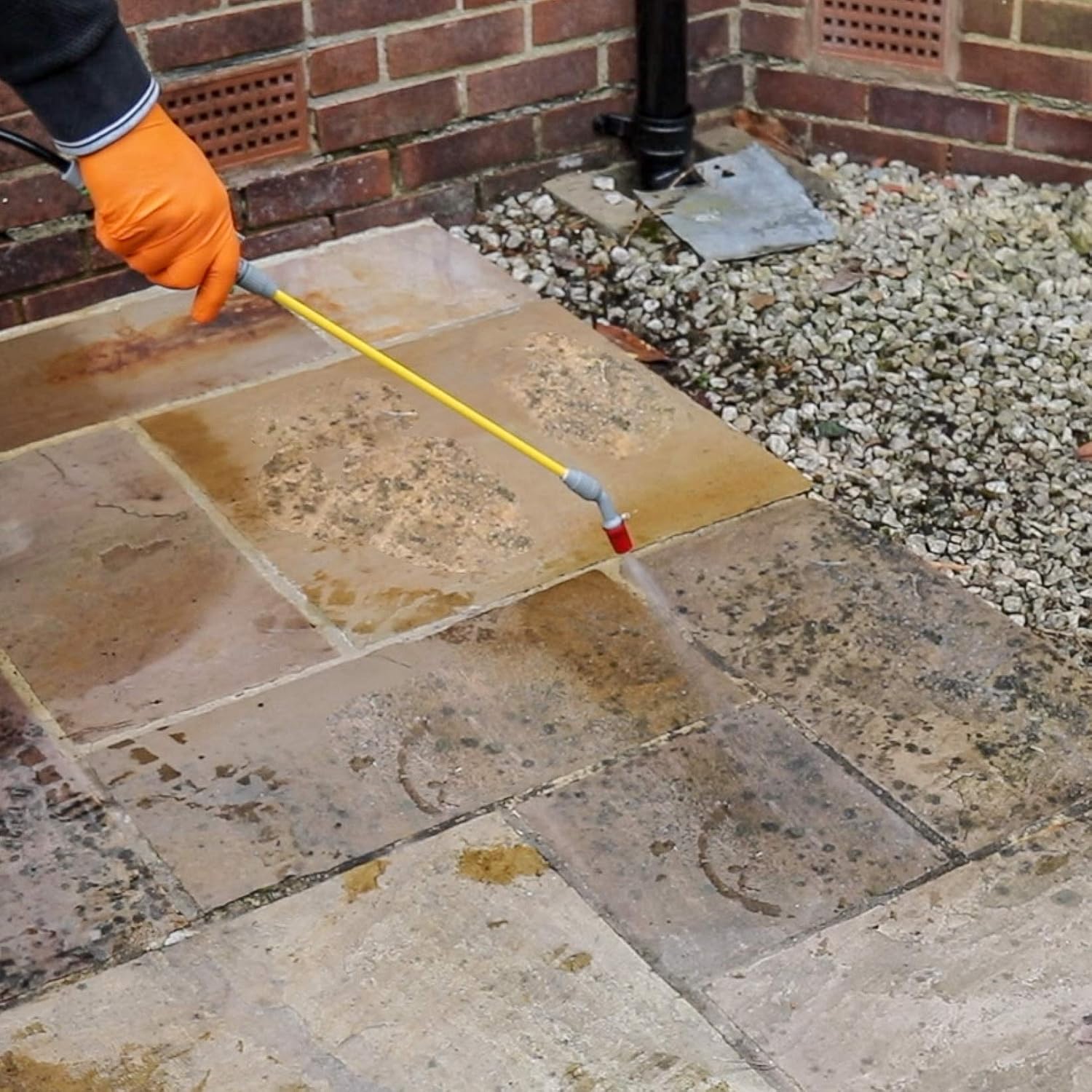 Buy Garden Xpert Black Spot Remover 5 Litre Removes Black Spots