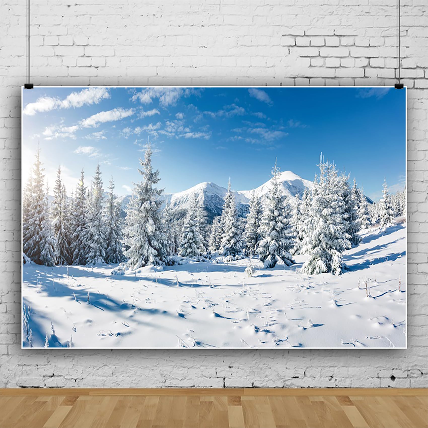 MIRRORANG 4,8x2,4m Hiver Cèdre Chemin Photo Toile De Fond Enneigé Nature Paysage Flocons De Neige Photographie Fond Fête De Noël Famille Vacances Fête Décoration Bannière Photomaton Accessoires